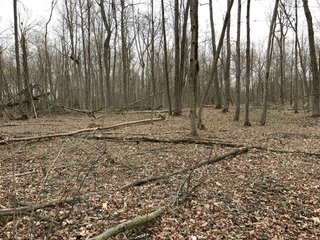 Property photo 39 - LAND AUCTION - 156.63+/- ACRES OFFERED IN 7 TRACTS IN ALLEN COUNTY, INDIANA